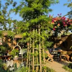 15 Bamboo Trellis Ideas That Add Natural Texture